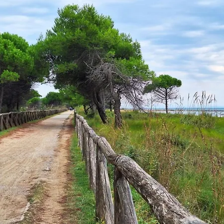 Sea View With Place Апартаменты *